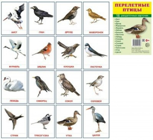 Раздаточные карточки "Перелетные птицы" - fgospostavki.ru - Красный Сулин