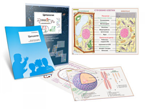 Комплект кодотранспарантов "Цитология" - fgospostavki.ru - Красный Сулин