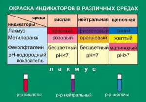 Таблица. Окраска индикаторов в различных средах. - fgospostavki.ru - Красный Сулин