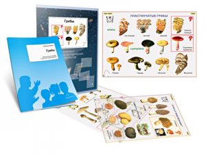 Комплект кодотранспарантов "Грибы" - fgospostavki.ru - Красный Сулин