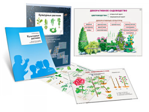 Комплект кодотранспарантов "Культурные растения" - fgospostavki.ru - Красный Сулин