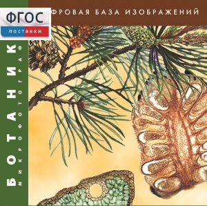 Ботаника. Микрофотографии. (Цифровая база изображений) - fgospostavki.ru - Красный Сулин