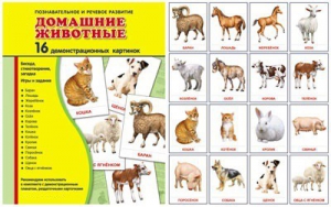 Демонстрационные карточки "Домашние животные" - fgospostavki.ru - Красный Сулин