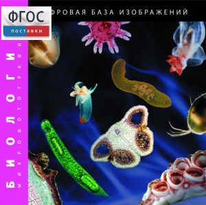 Биология. Микрофотографии. (Цифровая база изображений) - fgospostavki.ru - Красный Сулин