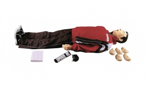 "Максим II-01" тренажер сердечно-легочной и мозговой реанимации - fgospostavki.ru - Красный Сулин