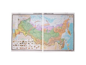 Учебная карта "Природные зоны России"  - fgospostavki.ru - Красный Сулин