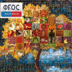 Начальная школа. Иностранный язык. (Цифровая база изображений) - fgospostavki.ru - Красный Сулин