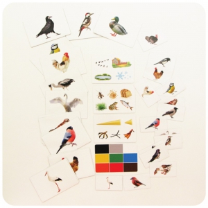 Набор магнитных карточек "Загадки-отрицания". Птицы - fgospostavki.ru - Красный Сулин