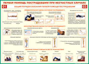 Таблица "Общий порядок оказания первой помощи пострадавшим" (100х140 сантиметров, винил) - fgospostavki.ru - Красный Сулин