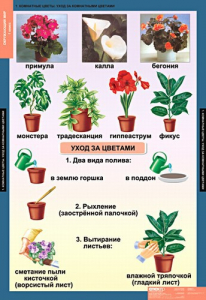 Комплект таблиц. Окружающий мир 1 класс. - fgospostavki.ru - Красный Сулин