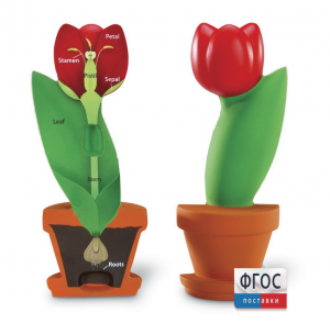 Модель цветка - fgospostavki.ru - Красный Сулин