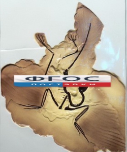 Модель барельефная "Археоптерикс" - fgospostavki.ru - Красный Сулин