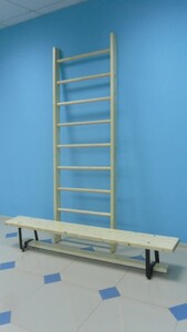 Стенка гимнастическая шведская премиум (1000х3200 мм) - fgospostavki.ru - Красный Сулин