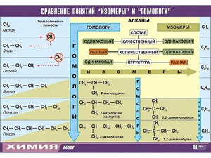 Таблица демонстрационная "Сравнение понятий изомер и гомолог" (винил 100x140) - fgospostavki.ru - Красный Сулин