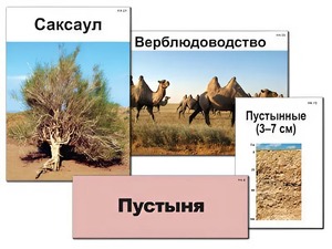 Модель-аппликация "Природные зоны России" (ламинированная) - fgospostavki.ru - Красный Сулин