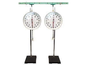 Динамометр демонстрационный (пара) - fgospostavki.ru - Красный Сулин