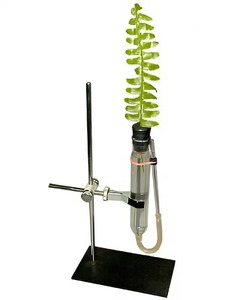 Прибор для демонстрации всасывания воды корнями - fgospostavki.ru - Красный Сулин