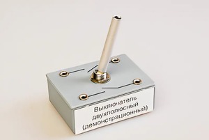 Выключатель двухполюсный (демонстрационный) - fgospostavki.ru - Красный Сулин