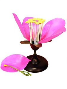 Модель цветка яблони - fgospostavki.ru - Красный Сулин