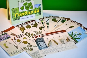 Гербарий к курсу основ общей биологии - fgospostavki.ru - Красный Сулин