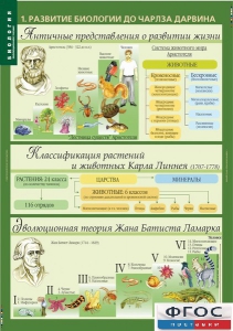 Комплект таблиц. Биология 10-11 класс. Эволюционное учение. - fgospostavki.ru - Красный Сулин