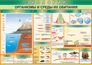 Таблица "Организмы и среды их обитания" (100х140 сантиметров, винил) - fgospostavki.ru - Красный Сулин
