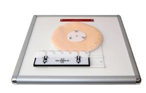 Комплекс "Изучение зубьев" - fgospostavki.ru - Красный Сулин