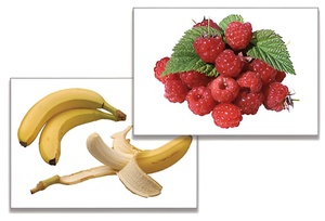 Дидактическое пособие "Фрукты, ягоды, орехи" (24 карточки) - fgospostavki.ru - Красный Сулин