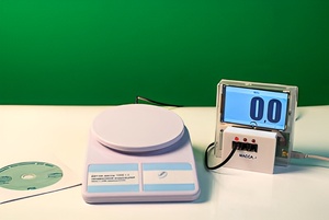Датчик массы 1000 г с независимой индикацией (весы с USB-переходником) - fgospostavki.ru - Красный Сулин