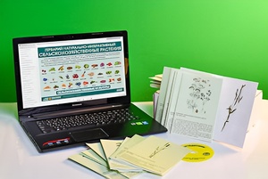 Гербарий натурально-интерактивный "Сельскохозяйственные растения" - fgospostavki.ru - Красный Сулин