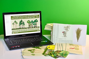 Гербарий натурально-интерактивный "Растительные сообщества. Лес" - fgospostavki.ru - Красный Сулин