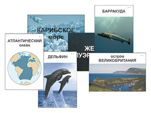 Модель-аппликация "Океаны. Знакомство" (ламинированная) - fgospostavki.ru - Красный Сулин