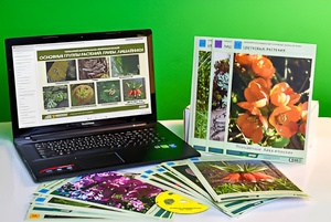 Гербарий натурально-интерактивный "Основные группы растений. Грибы. Лишайники" - fgospostavki.ru - Красный Сулин