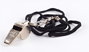 Свисток с шариком (металлический) - fgospostavki.ru - Красный Сулин