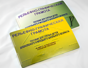 Пособие для слабовидящих детей - Рельефно-графическая грамота для слепых детей дошкольного и младшего школьного возраста - fgospostavki.ru - Красный Сулин