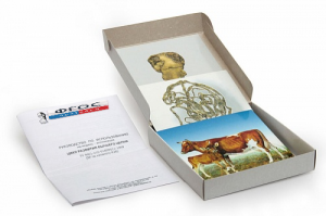 Модель-аппликация "Цикл развития бычьего цепня" (набор из 7 карт) - fgospostavki.ru - Красный Сулин