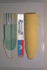 Модель барельефная "Клеточное строение корня" - fgospostavki.ru - Красный Сулин