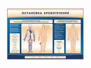 Электрифицированный стенд-тренажер "Остановка кровотечения" - fgospostavki.ru - Красный Сулин