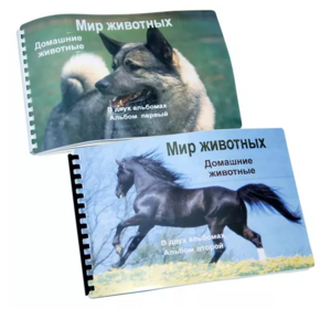 Пособие для слабовидящих - Домашние животные - fgospostavki.ru - Красный Сулин