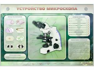 Электрифицированный стенд "Устройство микроскопа и правила работы c ним" - fgospostavki.ru - Красный Сулин