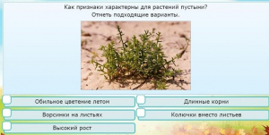 Интерактивные курсы. Окружающий мир 3 класс . Базовый. - fgospostavki.ru - Красный Сулин