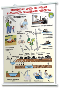 Плакаты по общей экологии для оформления кабинета. - fgospostavki.ru - Красный Сулин