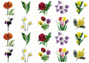 Комплект карточек "Запоминай, играй, считай" - Цветы - fgospostavki.ru - Красный Сулин