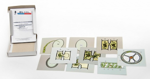 Модель-аппликация "Размножение многоклеточной водоросли" (набор из 9 карт) - fgospostavki.ru - Красный Сулин