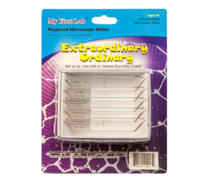 Набор микропрепаратов для микроскопа №3 «Необычное в обычном» - fgospostavki.ru - Красный Сулин