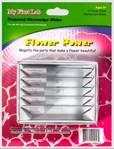 Набор микропрепаратов для микроскопа №6 «Цветы» - fgospostavki.ru - Красный Сулин