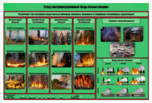 Стенд-планшет электрифицированный «Виды лесных пожаров»  - fgospostavki.ru - Красный Сулин