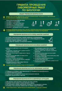 Стенд "Правила выполнения лабораторных работ по биологии" Вариант 1 - fgospostavki.ru - Красный Сулин