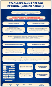 Электрифицированный стенд-тренажер "Этапы оказания первой реанимационной помощи" - fgospostavki.ru - Красный Сулин