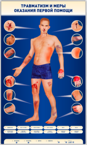 Электрифицированный стенд-тренажер "Травматизм и меры оказания первой помощи" - fgospostavki.ru - Красный Сулин